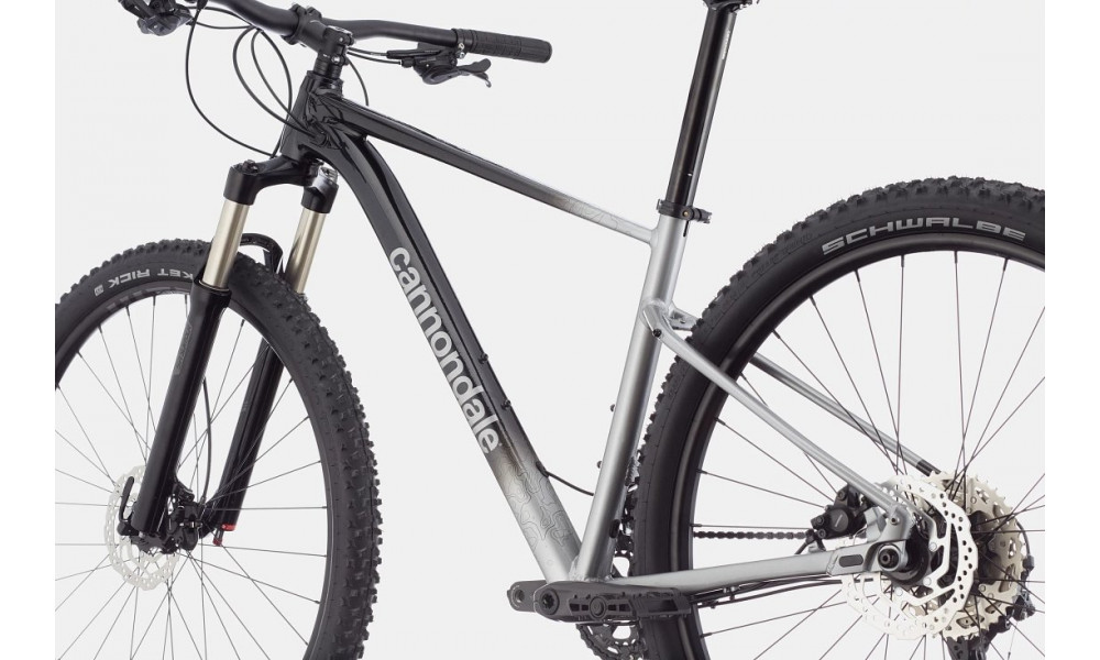 Dviratis Cannondale Trail 29" SL 4 charcoal gray - 3