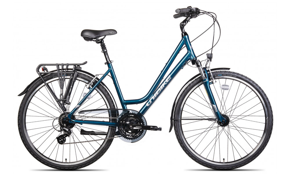 Dviratis Unibike Vision LDS 2024 blue 