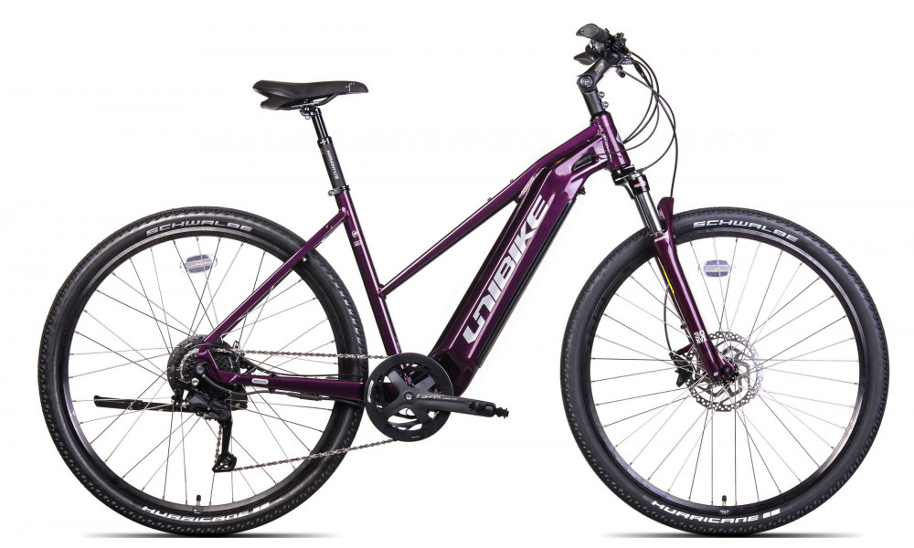 Elektrinis dviratis Unibike Falcon LDS 2024 burgund 