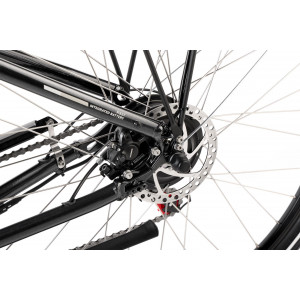 Elektrinis dviratis ProEco:ON Wave 1.0 504Wh graphite-silver