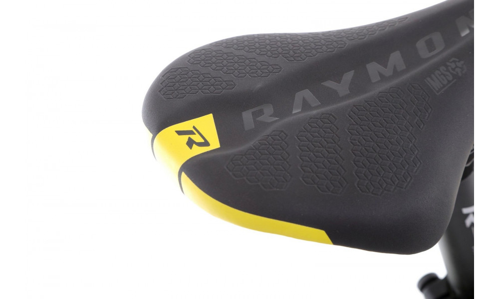 Elektrinis dviratis R-Raymon HardRay E 4.0 armor - 20