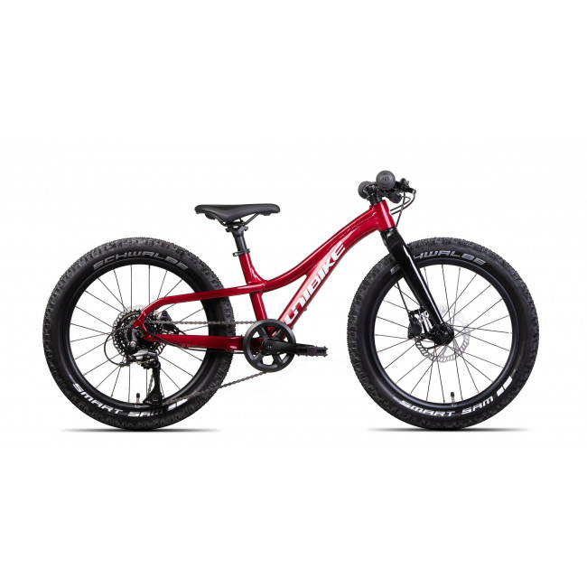 Dviratis Unibike Dart 20 2024 red