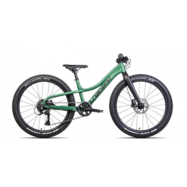 Dviratis Unibike Rock 24 2024 green