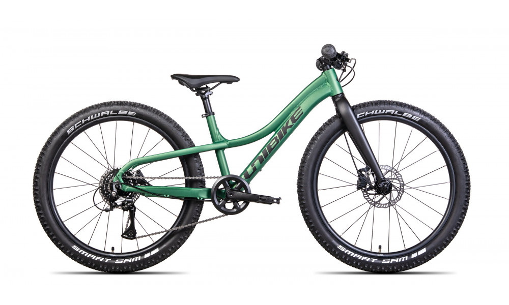 Dviratis Unibike Rock 24 2024 green 