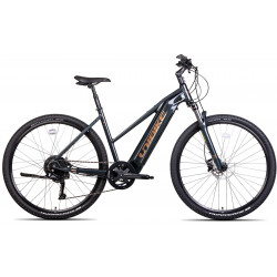 Elektrinis dviratis Unibike Falcon LDS 2024 black