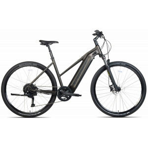 Elektrinis dviratis Unibike Falcon LDS 2024 dark green
