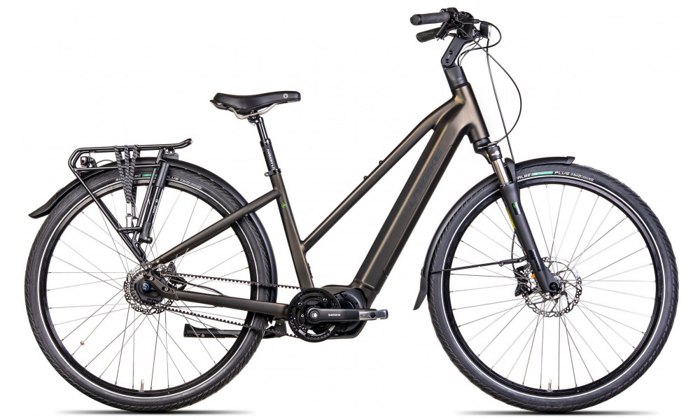 Elektrinis dviratis Unibike Energy LDS 2024 dark green 