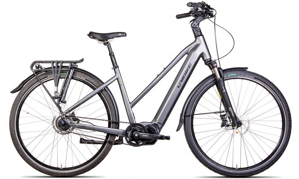 Elektrinis dviratis Unibike Energy LDS 2024 graphite 