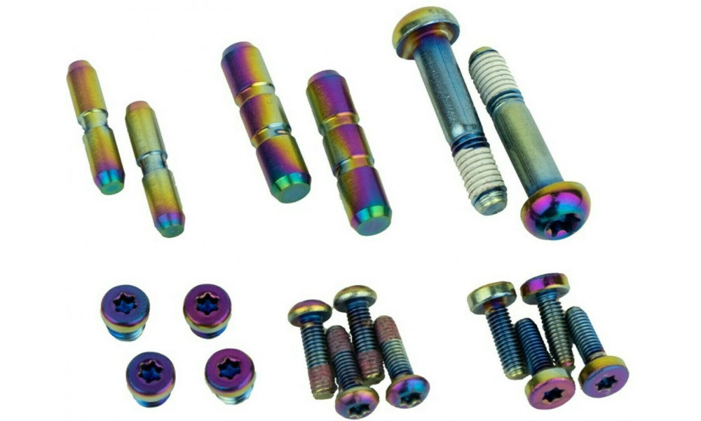 Diskinių stabdžių rankenėlės tvirtinimo varžtai SRAM Upgrade Kit for G2 ULT/RSC rainbow CPS 