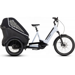 Elektrinis dviratis Cube Trike Family Hybrid 750 flashwhite'n'reflex 2026