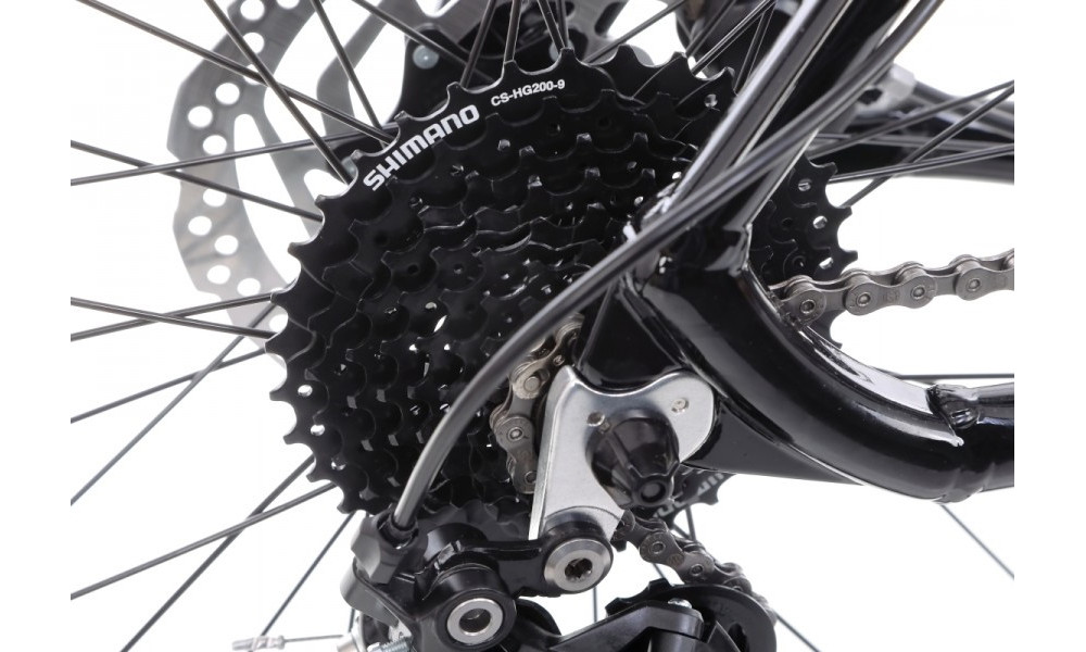Dviratis Romet Mustang M2 29" LTD 2022 black - 13