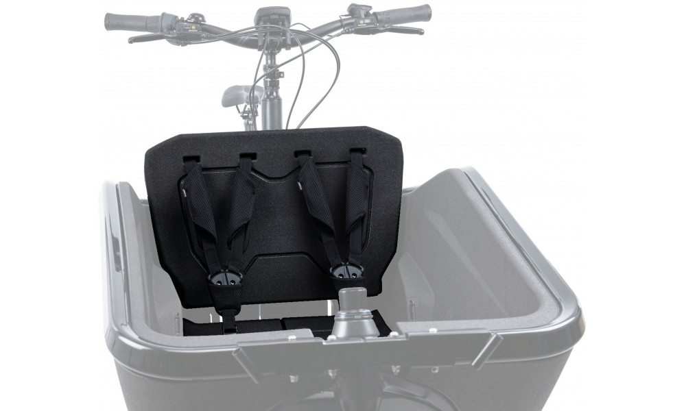 Vaikiška kėdutė Cube for e-bike Cargo black - 1