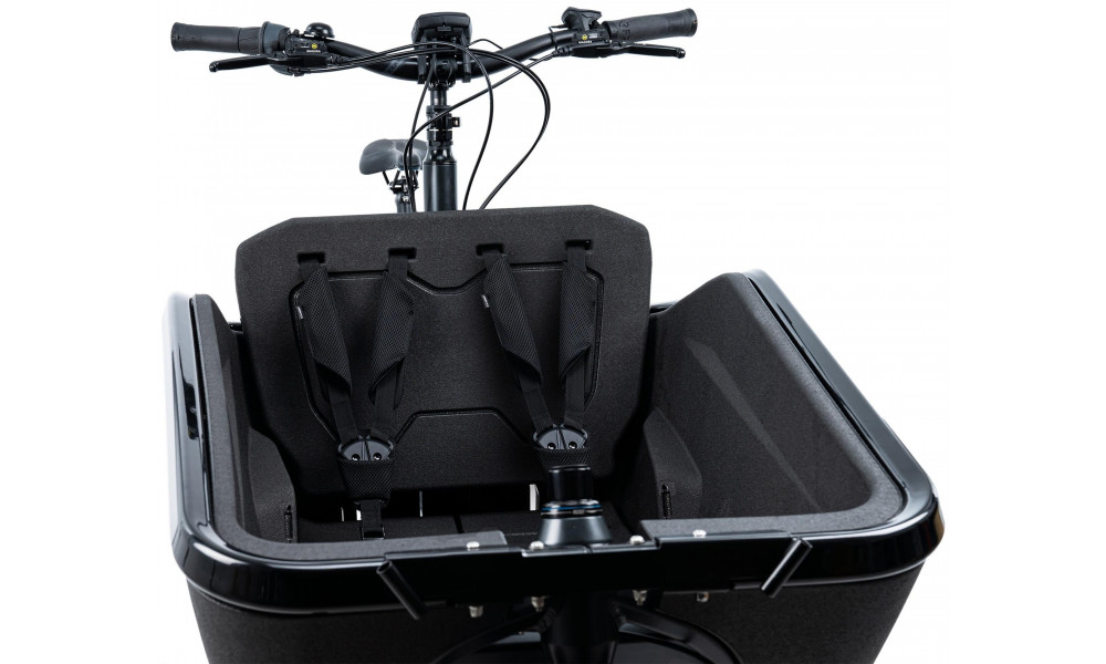 Vaikiška kėdutė Cube for e-bike Cargo black - 4