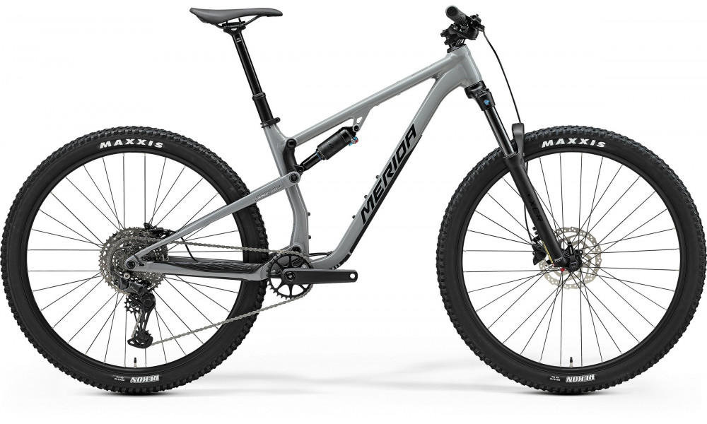 Dviratis Merida One-Twenty 300 V1 cool grey(black/silver) 