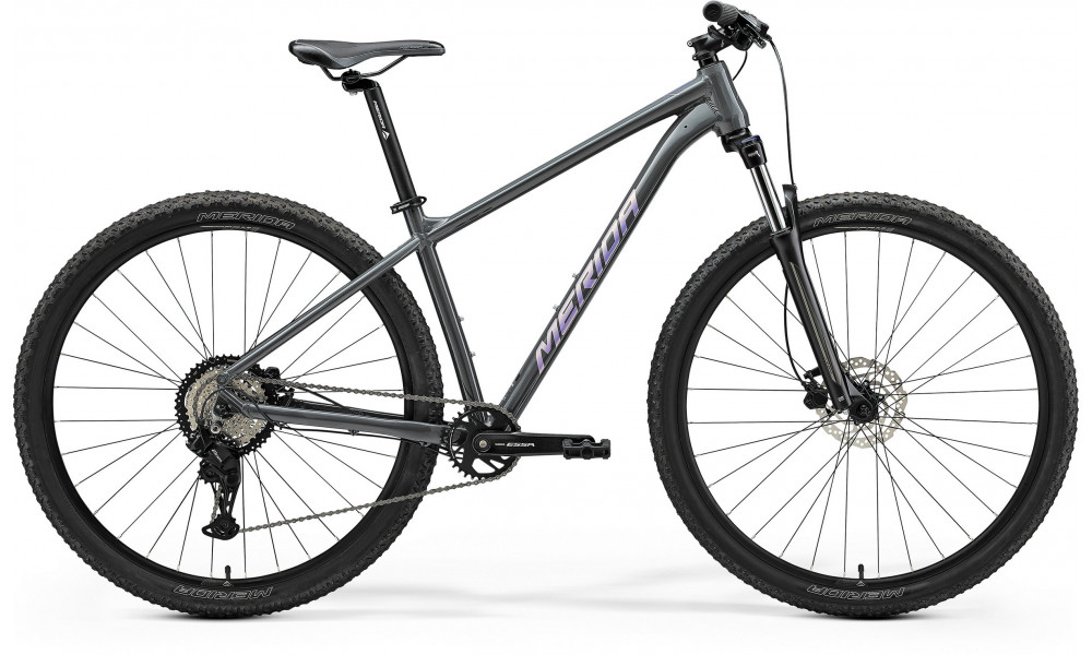 Dviratis Merida Big.Nine 20 IV2 dark grey(purple) 