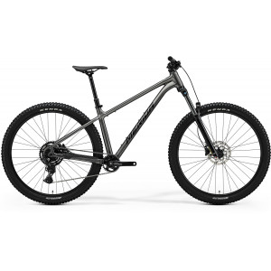 Dviratis Merida Big.Trail 300 II1 gunmetal grey(black)