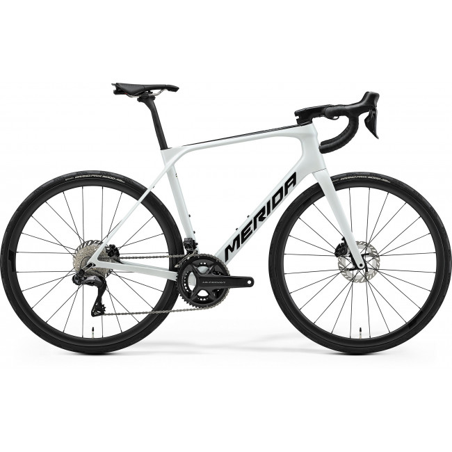 Dviratis Merida Scultura Endurance 8000 II3 white(black)