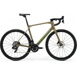 Dviratis Merida Scultura Endurance GR 8000 II2 oak bork(green)