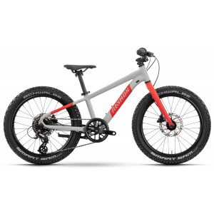 Dviratis Raymon Yanga 20 Pro 2025 grey-red