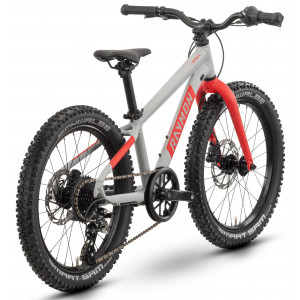 Dviratis Raymon Yanga 20 Pro 2025 grey-red