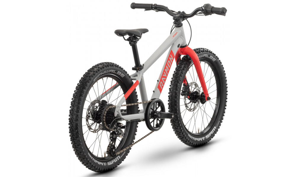 Dviratis Raymon Yanga 20 Pro 2025 grey-red - 2