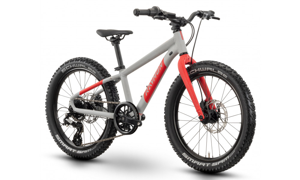 Dviratis Raymon Yanga 20 Pro 2025 grey-red - 3