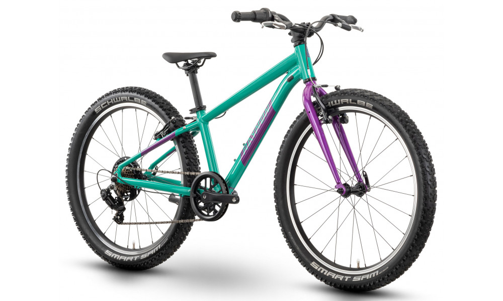 Dviratis Raymon Yanga 24 2025 green-purple - 3