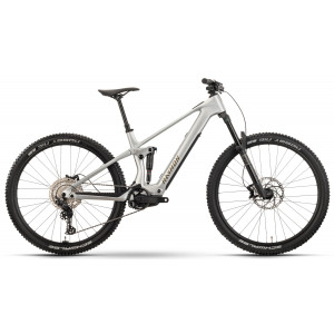 Elektrinis dviratis Raymon Airok 29" 2025 silver stealth-taupe