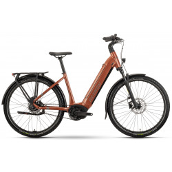 Elektrinis dviratis Raymon Metmo base FW 27.5" 2025 copper-taupe
