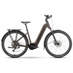 Elektrinis dviratis Raymon Tahona 600 29" 2025 Easy Entry tenmoku-black-honey