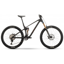 Dviratis Raymon Rokua 170 Ultra 29" 2025 carbon matt
