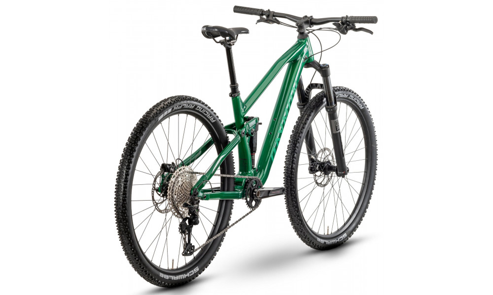 Dviratis Raymon Yara 120 Pro 29" 2025 smaragd green - 2