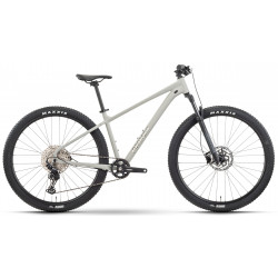 Dviratis Raymon Nayta Ultra 27.5" 2025 timelessgrey-chrome