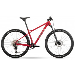Dviratis Raymon Arid Pro 29" 2025 carmine red matt