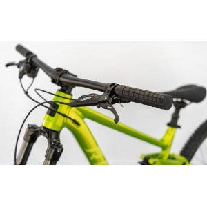 Dviratis Raymon Yara 150 Pro 29" 2025 kiwi green