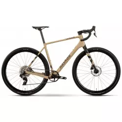 Dviratis Raymon Soreno Pro 2025 sand-black