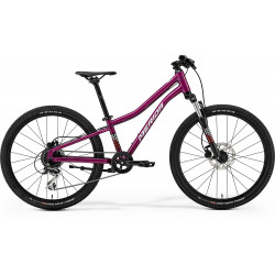 Dviratis Merida Matts J.24 I3 silk purple(wht/red/blk)