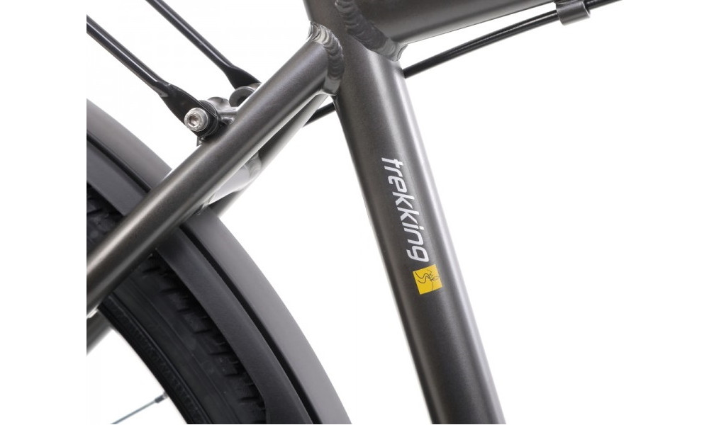 Dviratis Romet Wagant 2 28" 2022 graphite-gold - 4