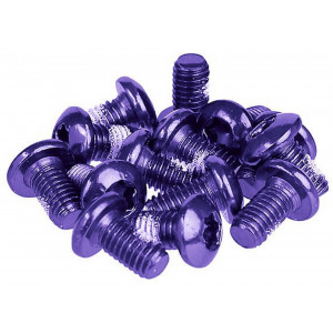 Varžtai stabdžių diskams tvirtinti Prox purple M5x10mm (12pcs.)