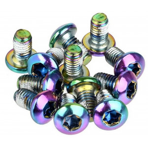 Varžtai stabdžių diskams tvirtinti Prox rainbow M5x10mm (12pcs.)