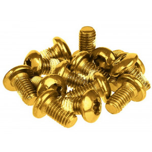 Varžtai stabdžių diskams tvirtinti Prox gold M5x10mm (12pcs.)