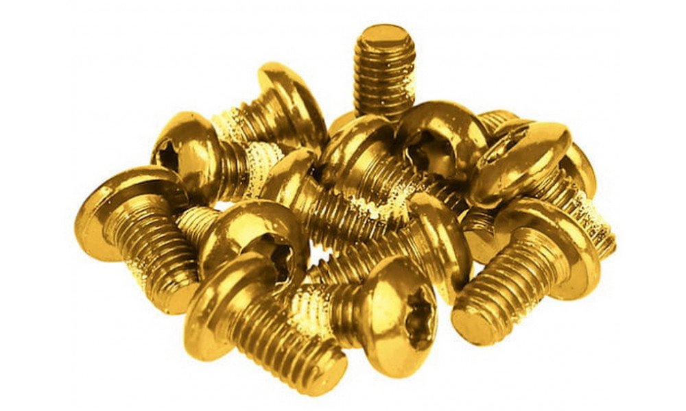 Varžtai stabdžių diskams tvirtinti Prox gold M5x10mm (12pcs.) - 1