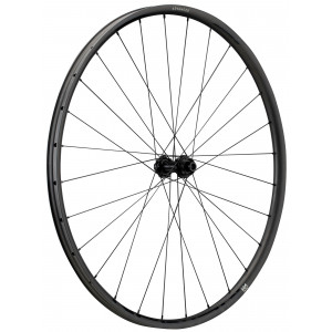 Priekinis ratas NEWMEN Advanced Carbon SL X.R.25 29" 28H Gravel SP C-Lock 12x100