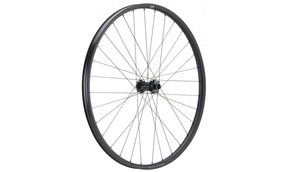 Priekinis ratas NEWMEN Beskar Alu 30 strong 29" 32H SP 6-bolt 15-20x110 