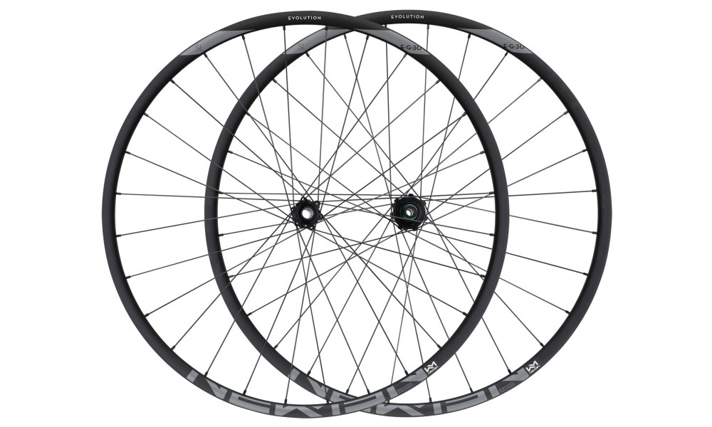 Priekinis ratas NEWMEN Evolution Alu SL E.30 29" 15x110 SP 6-bolt 28H - 2