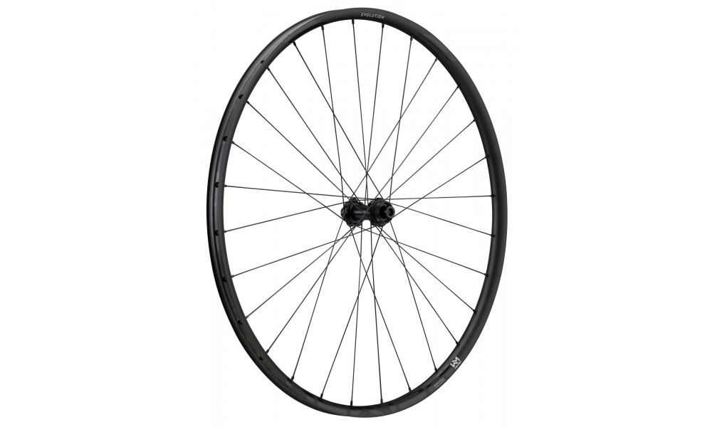 Priekinis ratas NEWMEN Evolution Alu SL X.R.25 29" 28H Gravel SP C-Lock 12x100 