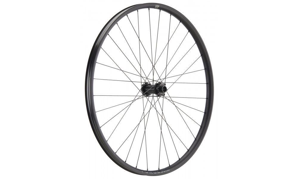 Priekinis ratas NEWMEN Forge Alu 30 strong 29" 32H SP 6-bolt 15-20x110 