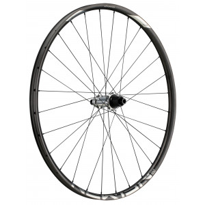 Galinis ratas NEWMEN Advanced Carbon SL X.A.25 29" 12x148 SP C-Lock 28H XD