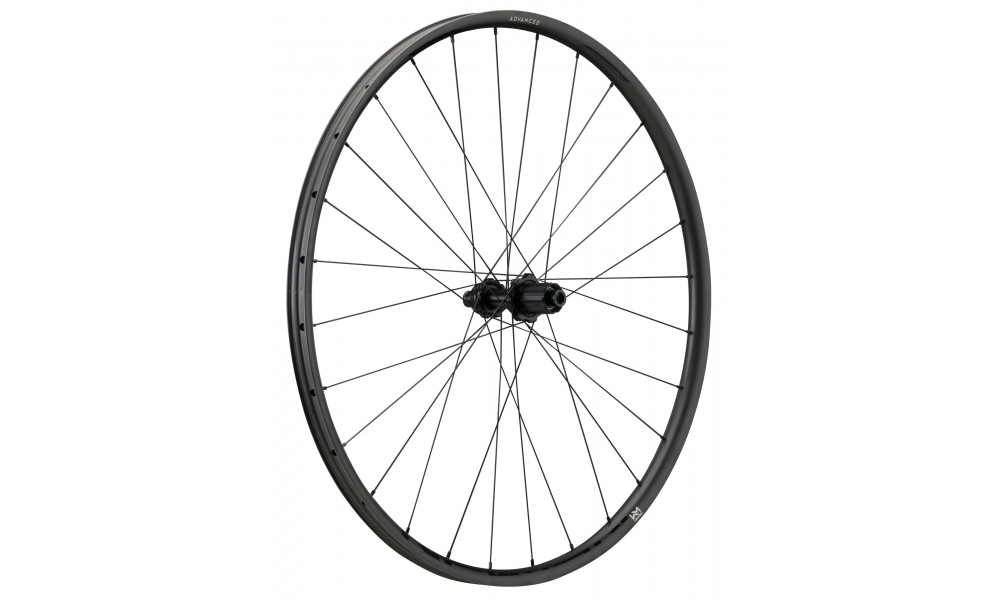 Galinis ratas NEWMEN Advanced Carbon SL X.R.25 29" 28H Gravel SP C-Lock 12x142 XDR 