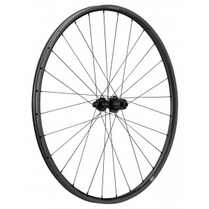 Galinis ratas NEWMEN Advanced Carbon SL X.R.25 29" 28H Gravel SP C-Lock 12x142 HG